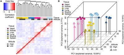 Comparative microRNA Transcriptomes in Domestic Goats Reveal Acclimatization to High Altitude